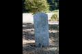 양주 황방리 느티나무 표석 썸네일 이미지