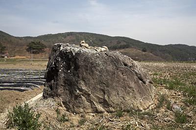 서황리 고인돌 1기 썸네일 이미지