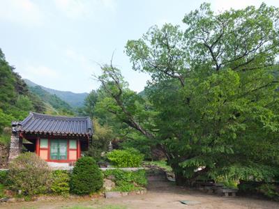 대비암 산신각 썸네일 이미지