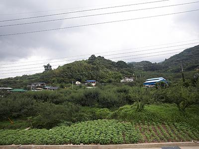 흥룡리 고분군 전경 썸네일 이미지