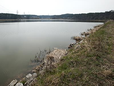 지곡저수지 썸네일 이미지