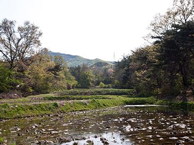 운산리 청량골 절터 썸네일 이미지