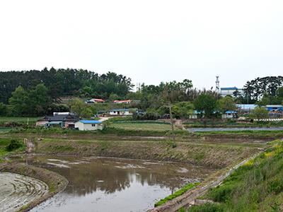 대산읍 그마재 장씨 동족마을 썸네일 이미지