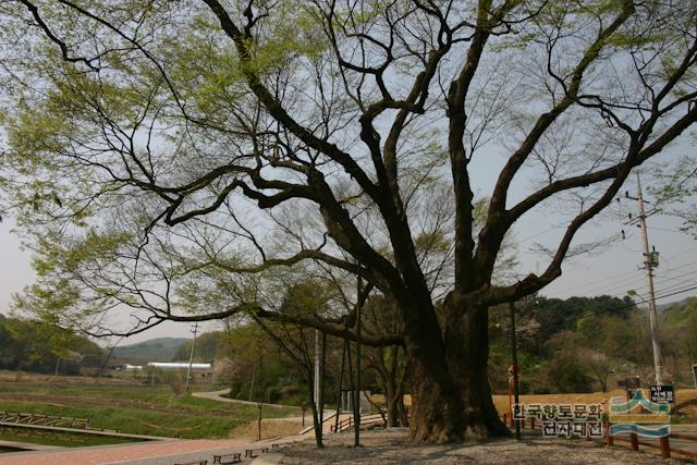 대표시청각 이미지