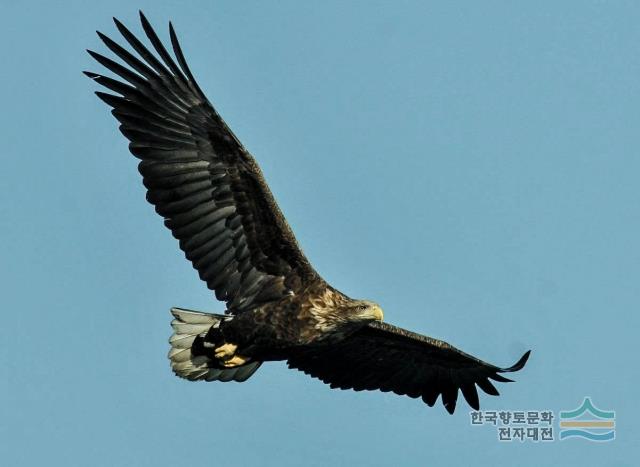 대표시청각 이미지